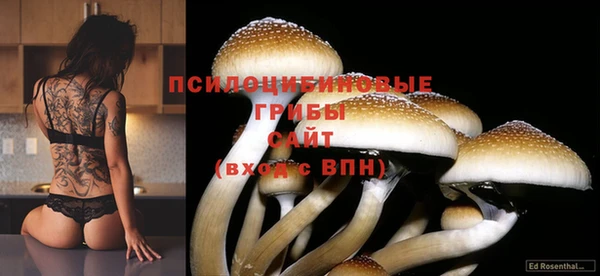 прущие крисы Касимов