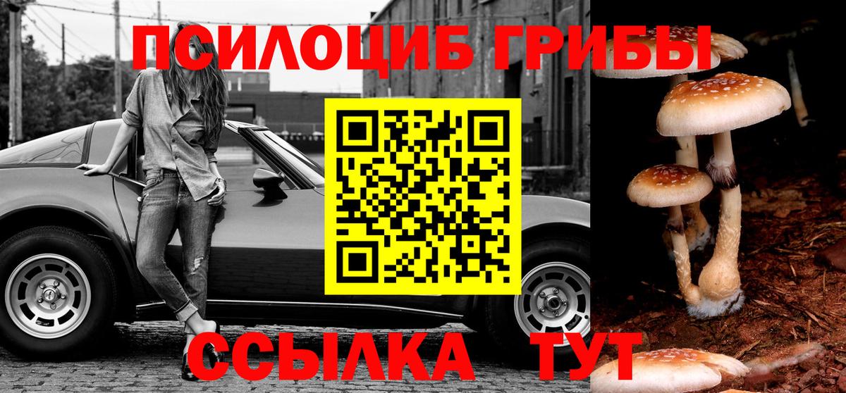 Псилоцибиновые грибы GOLDEN TEACHER  Курск  Псилоцибиновые грибы MAGIC MUSHROOMS 