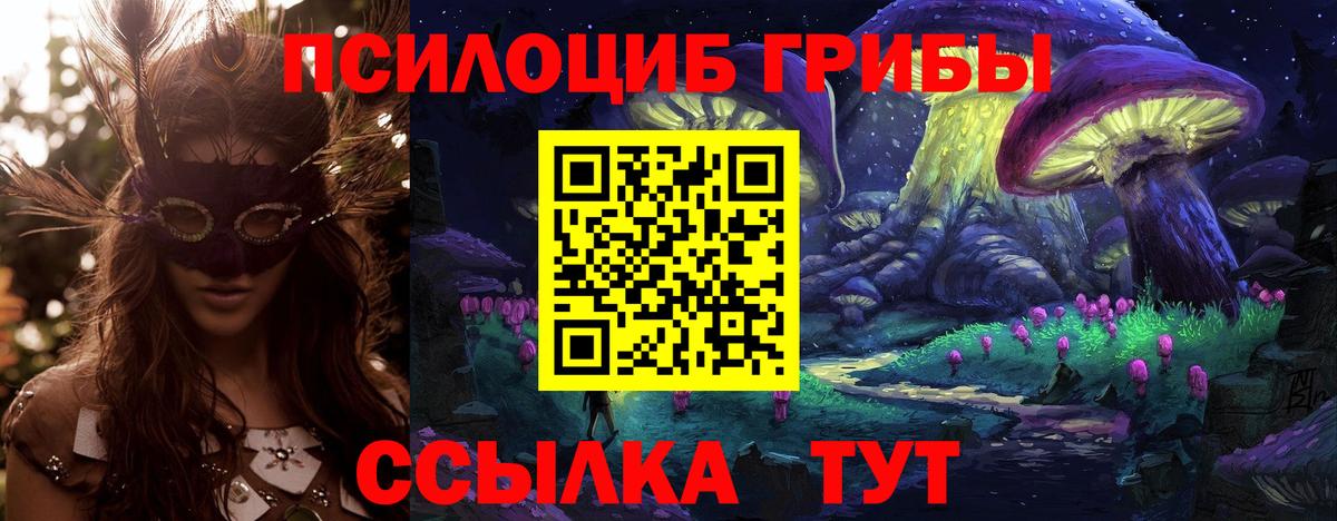 Галлюциногенные грибы Psilocybe  Вход с VPN  Курск 