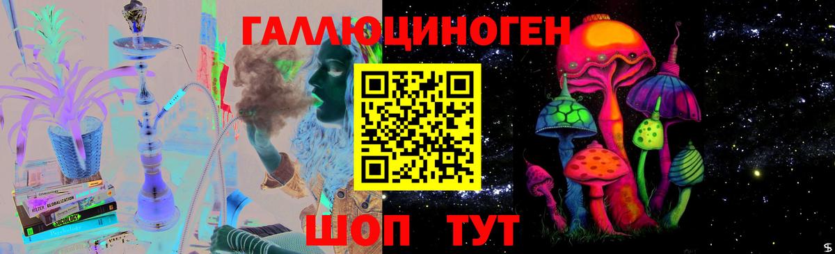 Псилоцибиновые грибы Cubensis Курск